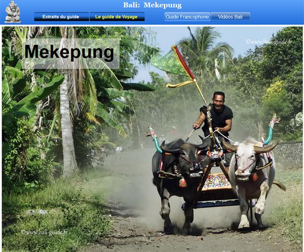 Site internet du livre interactif sur Bali